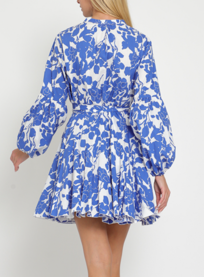 Long Sleeve Button-Down Belted Mini Dress