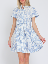 Short Sleeve Button Down Belted Mini Dress