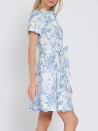 Short Sleeve Button Down Belted Mini Dress