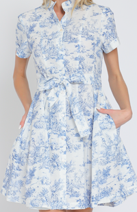 Short Sleeve Button Down Belted Mini Dress