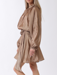 Long Sleeve Elastic Back Organza Mini Dress