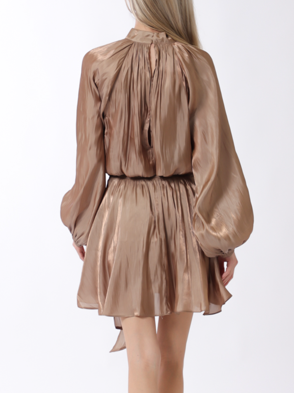 Long Sleeve Elastic Back Organza Mini Dress