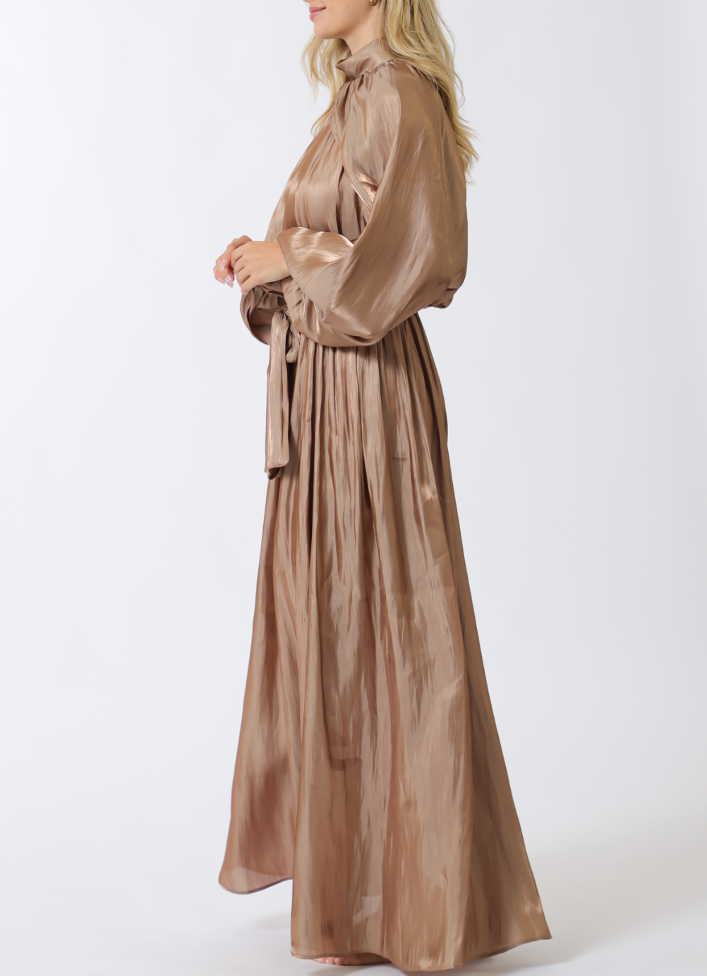 Long Sleeve Elastic Back Organza Maxi Dress
