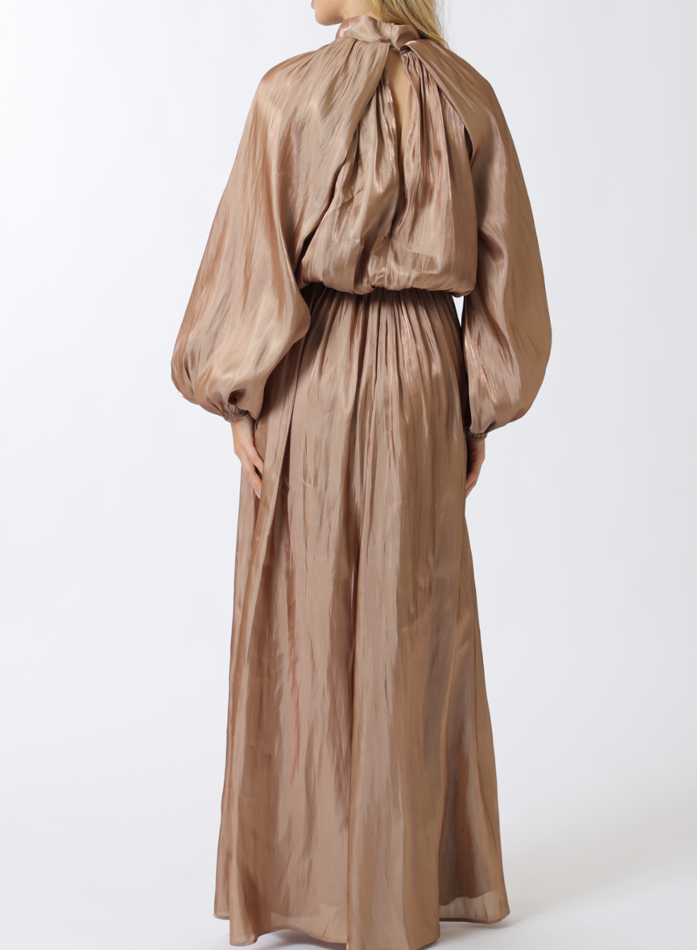 Long Sleeve Elastic Back Organza Maxi Dress