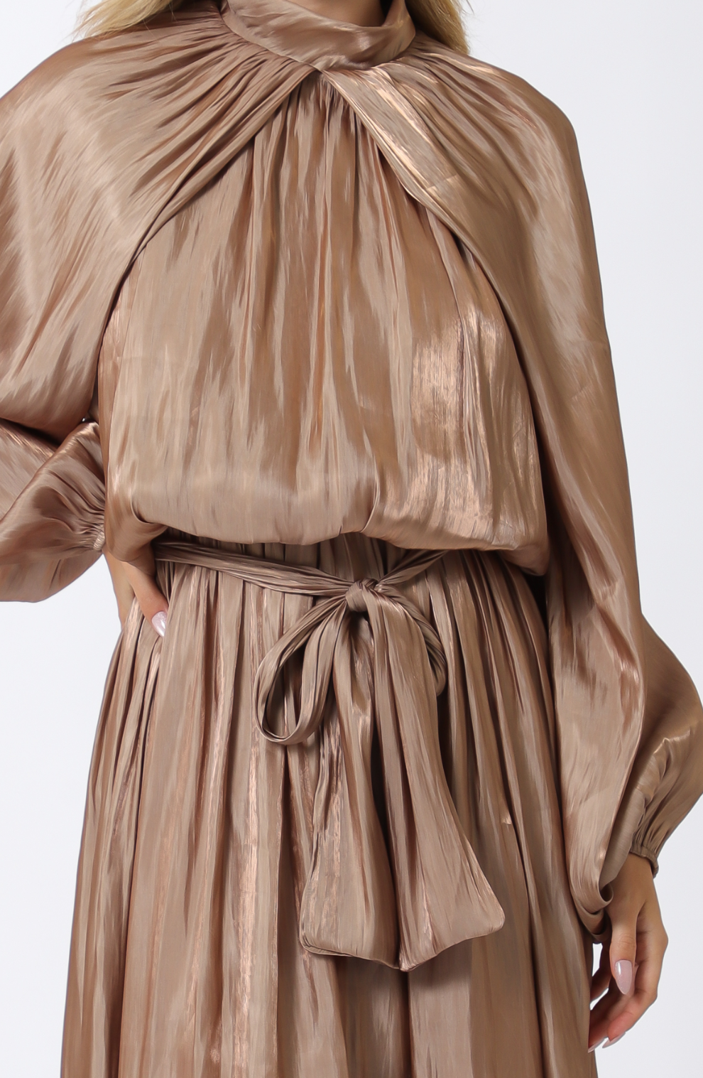 Long Sleeve Elastic Back Organza Maxi Dress