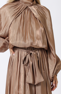 Long Sleeve Elastic Back Organza Maxi Dress