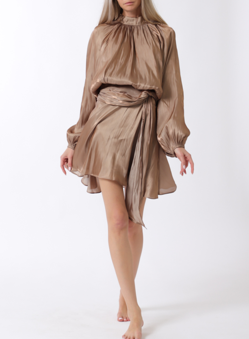 Long Sleeve Elastic Back Organza Mini Dress