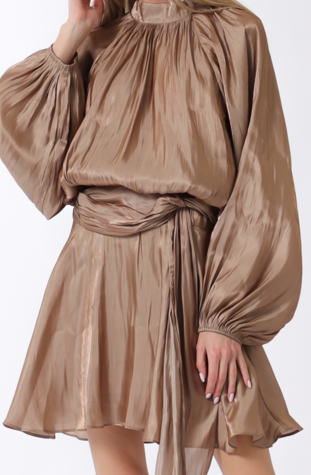 Long Sleeve Elastic Back Organza Mini Dress