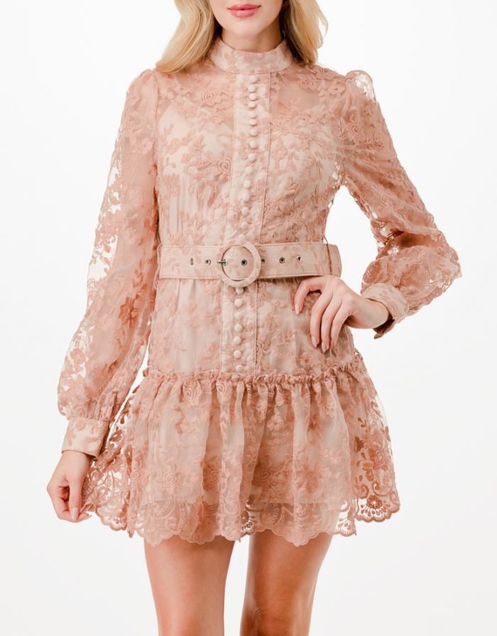 Long Sleeve Floral Embroidery Detail Mini Dress.