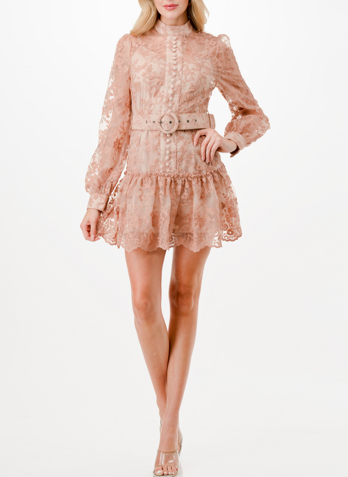 Long Sleeve Floral Embroidery Detail Mini Dress.