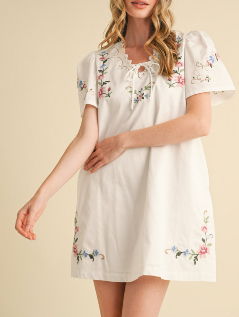 Lace Trim Floral Embroidery Mini Shift Dress