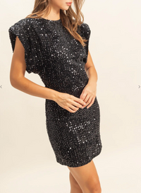 Sequin Velvet Mini Dress