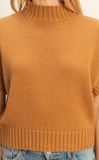 Short Sleeve Mock Neck Sweater