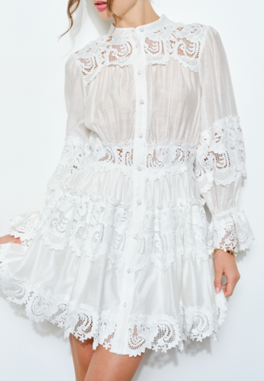 Delicate Lace-Panel Button-Up Flare Mini Dress