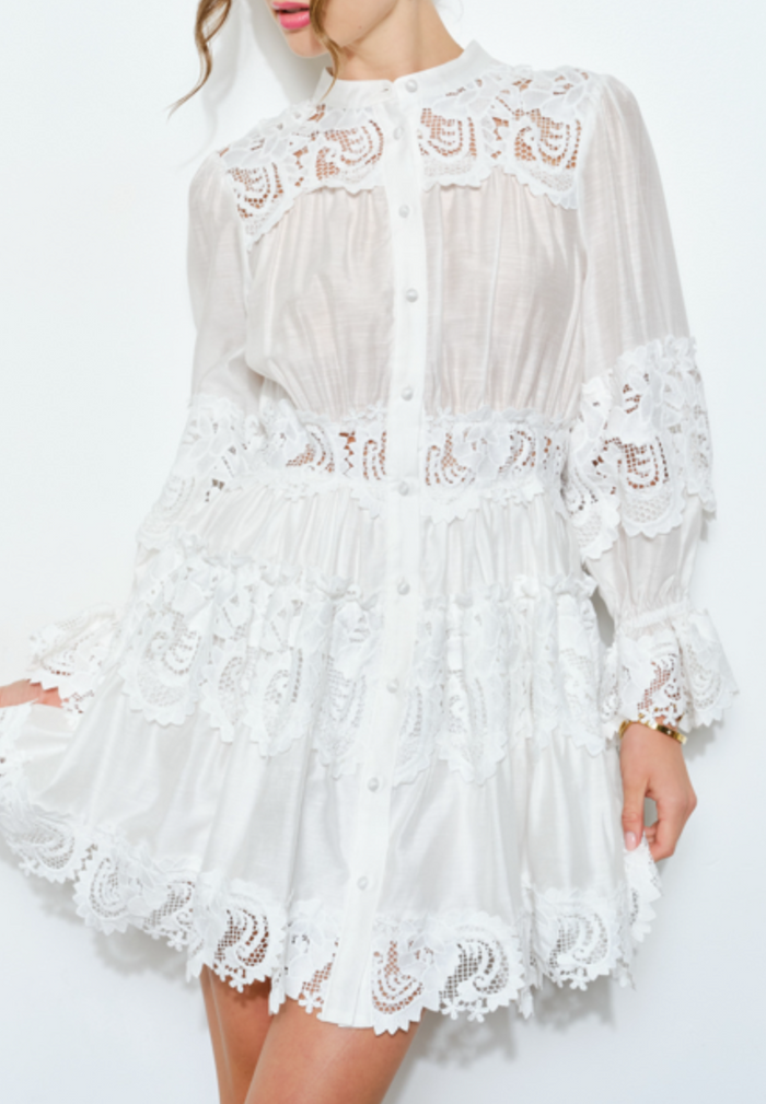 Delicate Lace-Panel Button-Up Flare Mini Dress