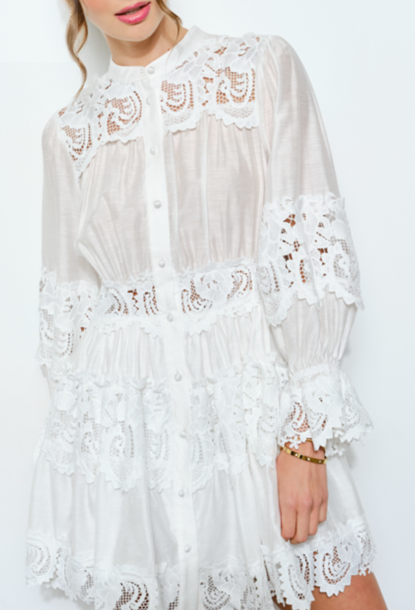 Delicate Lace-Panel Button-Up Flare Mini Dress