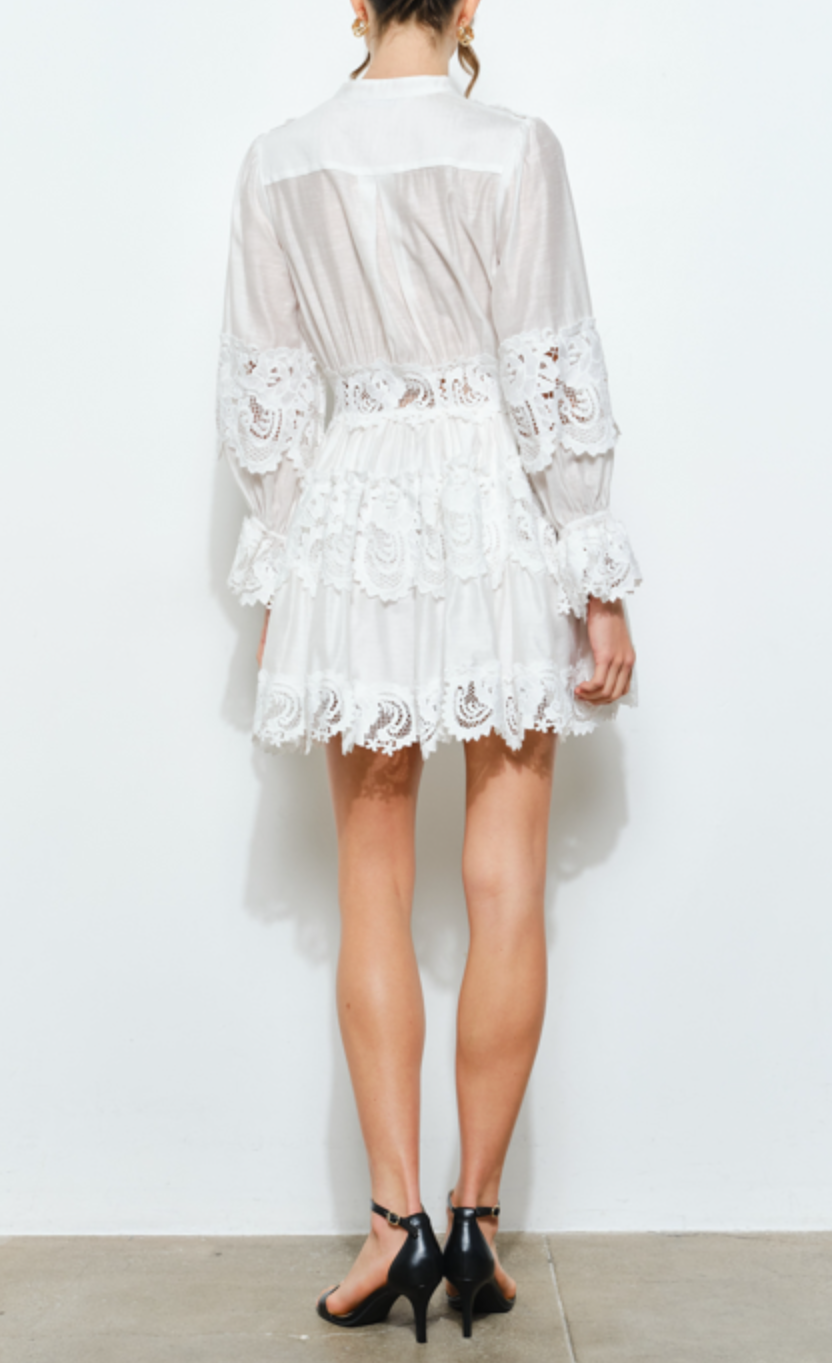 Delicate Lace-Panel Button-Up Flare Mini Dress