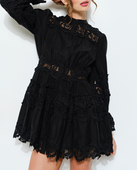 Delicate Lace-Panel Button-Up Flare Mini Dress