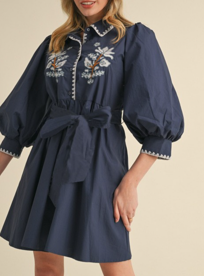 Solid Dress with Collared Neck