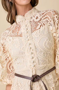 Mock Neck Collar Button Down Mini Lace Dress With Contrasting Belt