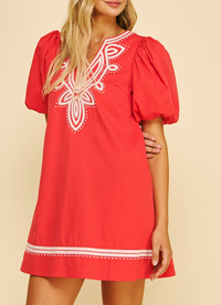 Embroidered Detail Mini Dress