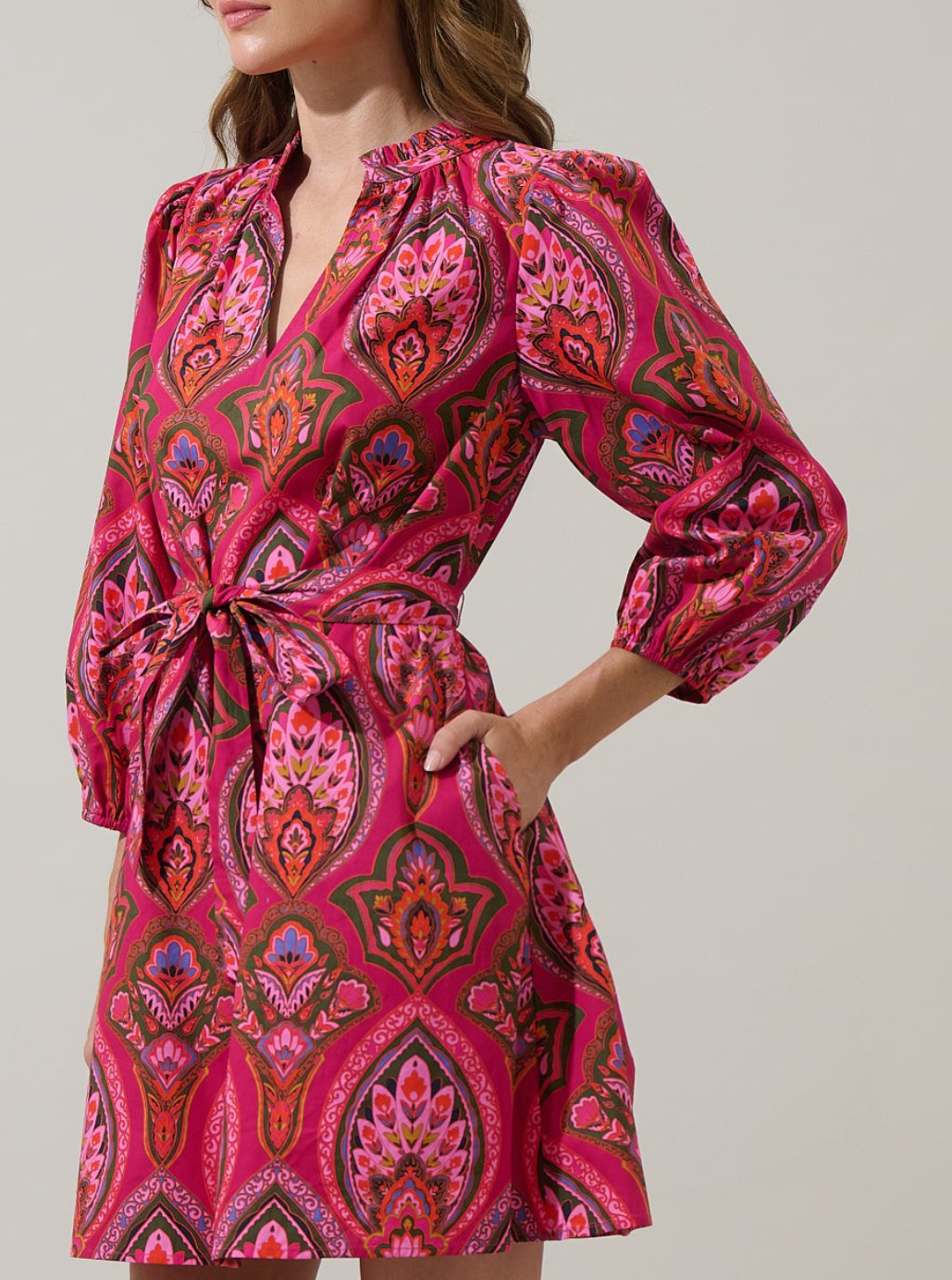 Paisley Eira Poplin Mini Dress
